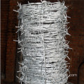 Hight Quality Silver Green Barbed Wire Fence